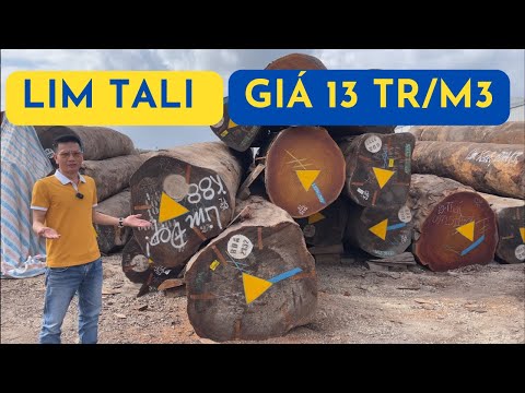 20-1-2024 GIÁ GỖ LIM XANH TALI NAM PHI thương hiệu ALLPI | Gỗ Vương #wood #woodworking