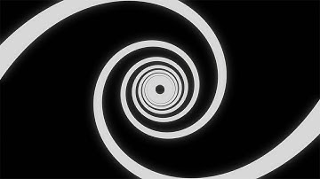 BLACK AND WHITE DOUBLE HELIX. ROTATION RELATIVE TO THE CENTER. Video Loop