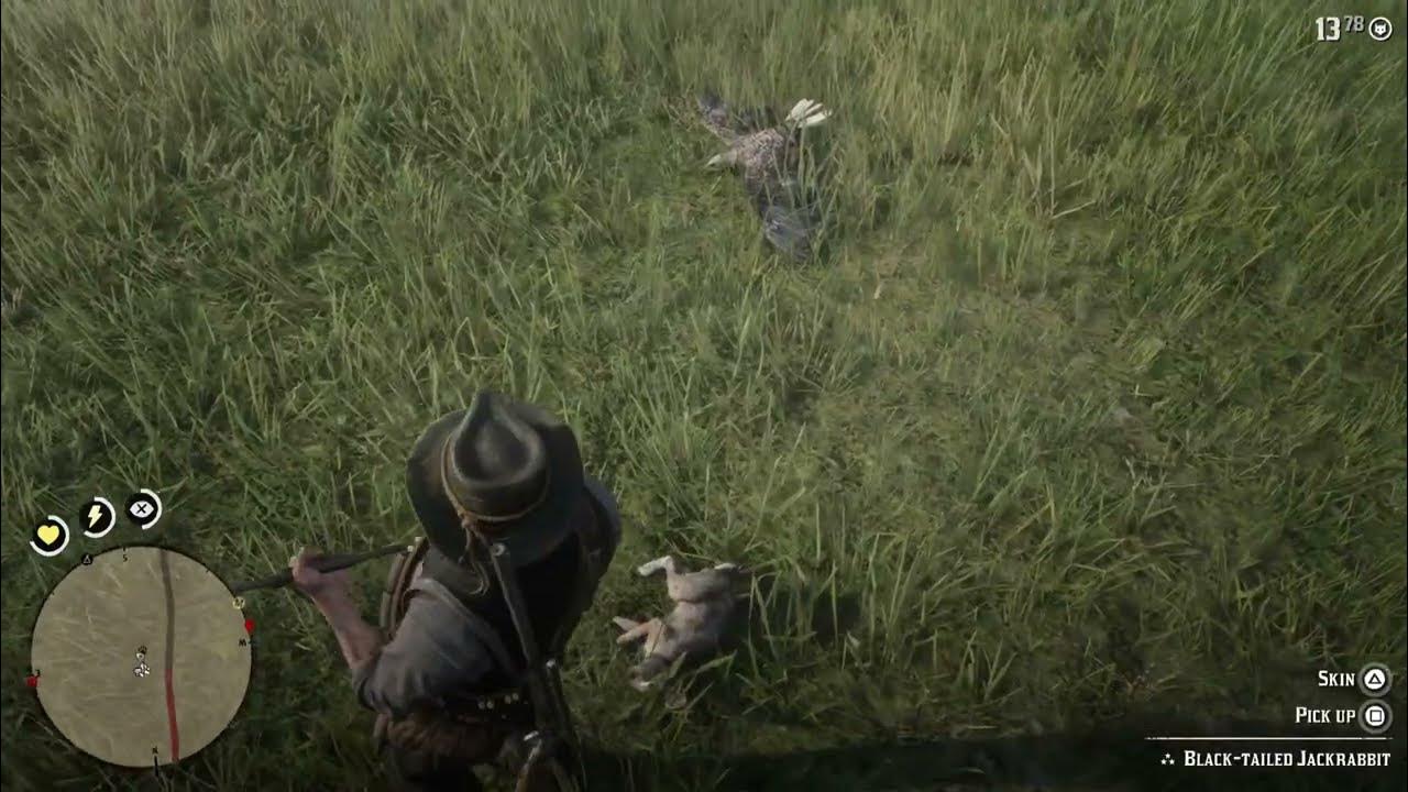 RDR2 Bald Eagle delivers perfect pelt to Arthur YouTube