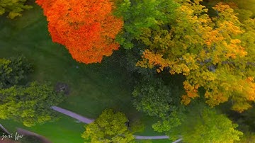 Testing Betaflight 4.1 and rpm filters