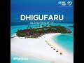 Вебинар по отелю  Dhigufaru Island Resort (Мальдивы )