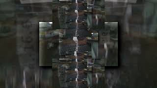 (BETTER REUPLOADED) 04282013_154400scan.mp4scan.wmv