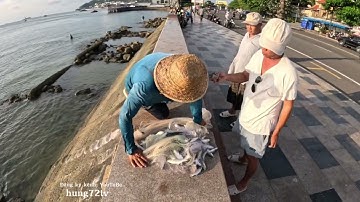 Đặc sản TP..Vũng Tàu Cá Đối Quăng Chài