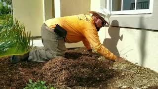 SLHS Mulch Application Training 101, Lawn and landscaping services Seadrift, Texas