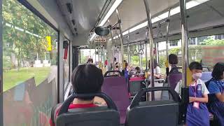 [SMRT Buses] ST Engineering Retrofitted Electric Bus, SG3100M on 176