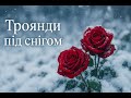 Троянди під снігом ніжна українська пісня про кохання та емоції HIT 2025