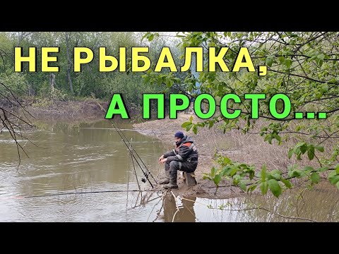 Видео: Рыбалка удалась. Слияние двух рек. Нашли железный мост.