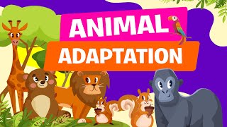 Animal Adaptations | Physical, Life Cycle and Behavioral Adaptations of Animals | Science Video