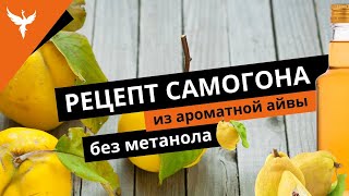 сДЖ 12: Видео рецепт самогона из ароматной айвы без метанола