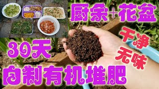 种菜经验分享 | 自制有机肥/用厨余做有机堆肥--快速/干净/简单/无味。