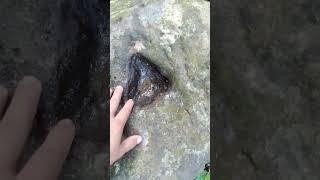 heart sign with dot treasure under the big tree 😃. #treasurehunting #ngth #yamashitatreasure