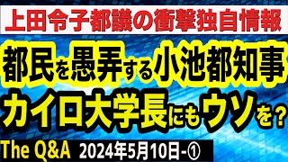 【独自情報】小池都知事はカイロ大学長にも虚をついていた？／「ダイバーシティ」の欺瞞／再エネの危険性／上田令子都議が暴く　①【The Q&A】5/10