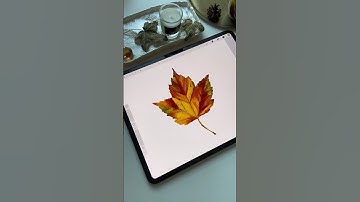 Drawing Process in Procreate - Watercolor Autumn Leaf - Tutorial #shorts #procreate #tutorial
