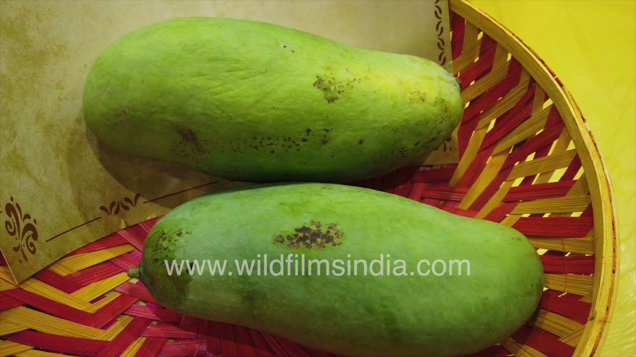 India’s Best Mangoes Under One Roof | Thyagaraj Stadium Mango Festival