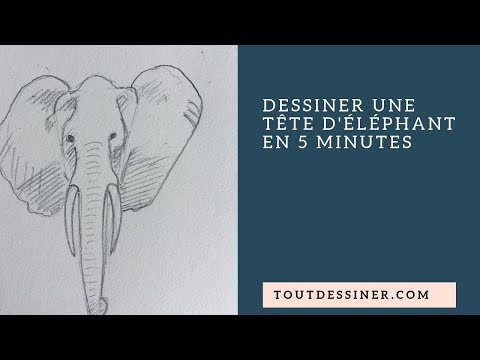 Vidéo: Comme Dessiner Un éléphant Avec Un Crayon Progressivement