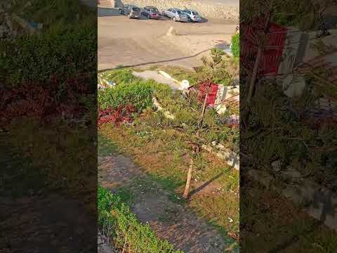 صباح الخير على ناسنا و ع الغالين اهلينا وحبايبنا   وصفات رودى