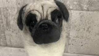 Partyservice creative 羊毛 フェルト 黒 パグ Making a Pug with