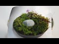 Mini gardens 3 ミニガーデン３