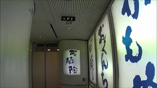 車いす道中記大分編 JR九州大分駅乗り換え 特急にちりん14号(5014M)→特急ソニック44号(3044M) 大分県大分市編