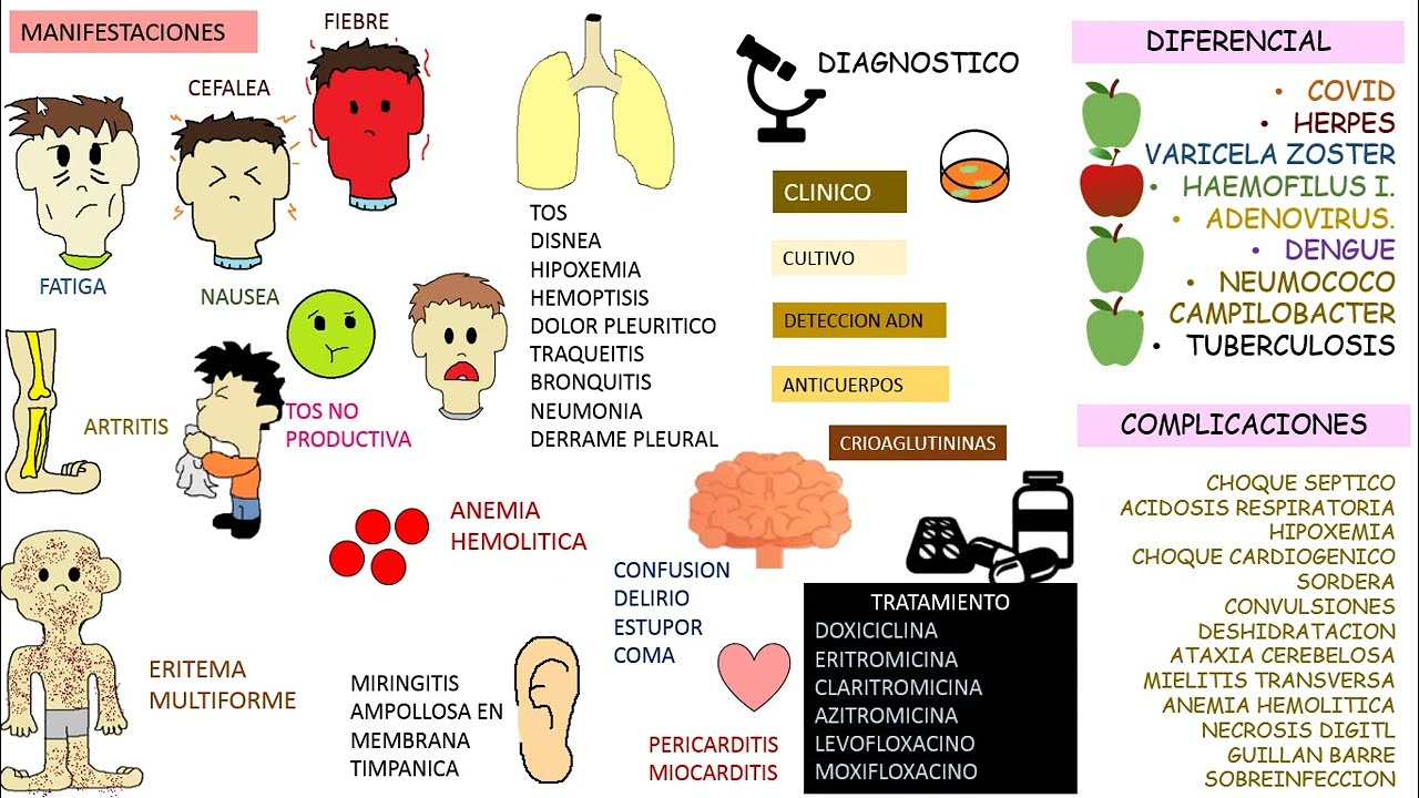 Mycoplasma pneumoniae