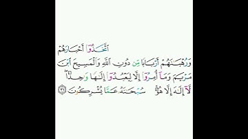 9 - سورة التوبة ٣١ - خالد الجليل