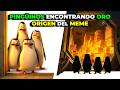 Los PINGÜINOS encontrando ORO | ORIGEN DEL MEME
