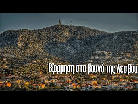 Eξόρμηση στο Βουνό της Αμαλής ! 🏔️