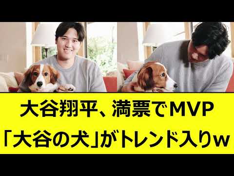 大谷翔平、満票でMVP！大谷の犬がトレンド入りｗ【なんJ、なんG反応】【5ch、2chまとめ】【プロ野球、大谷、エンゼルス、MLB、メジャーリーグ、大リーグ】