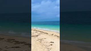 Papua New Guinea 🇵🇬 Paradise. #50thanniversary #papuanewguinea #tourism #kumul #island #sand