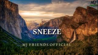 Best Notification RingTones 2022 | SNEEZE Notification Sound | World's Best Notification Ringtone