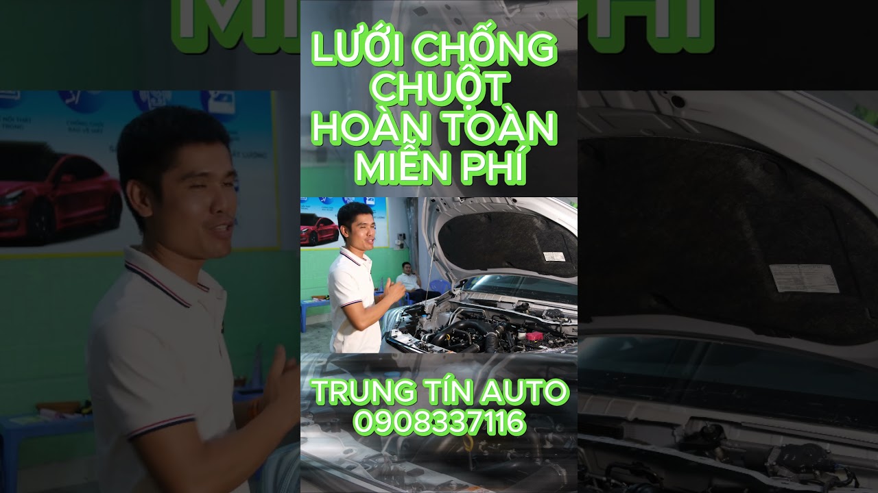 xổ số vietlott ngày chủ nhật lưới chống chuột hoàn toàn miễn phí tại trung tín auto