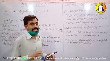1st Chapter-Human Organ System- 5th Lecture Class 7 Science-AFAQ