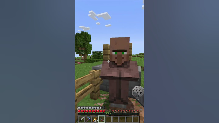 Ninjaxx sauve Machin des Pillager sur Minecraft..