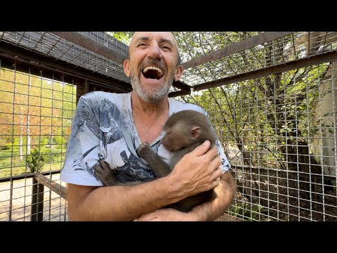 Влад УБЕГАЕТ от Степы и Мани, а Люська просто чистит КАЧАН КУКУРУЗЫ на голове у любимого папы)))