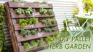 DIY Shipping Pallet Herb Garden | Makeful