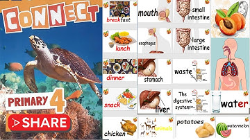 CONNECT primary 4 I Unit 1 L 1 & 2  🥗🥘 أفضل فيديو تعليمي I حصريا نصوص أستماع الوزارة