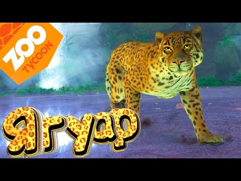 Видео: Перуанский ЯГУАР - ZOO Tycoon - Прохождение #6