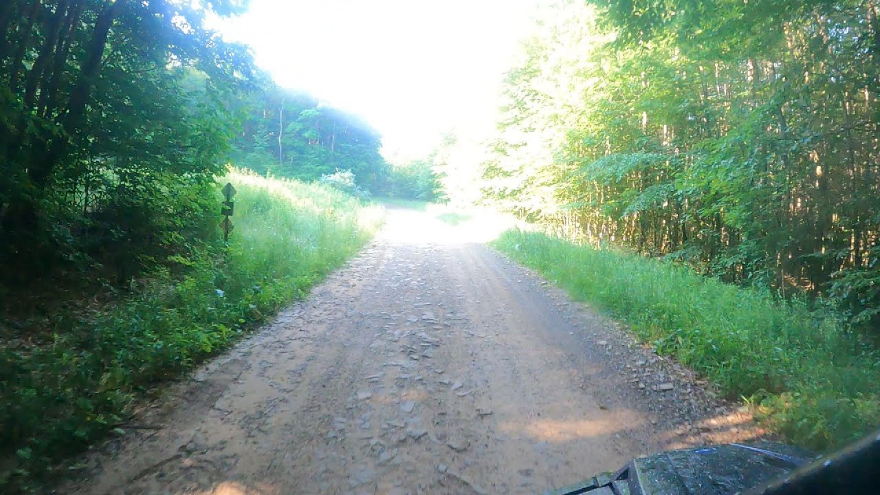 Marienville ATV Trails June 21 2024 Pt 3 YouTube