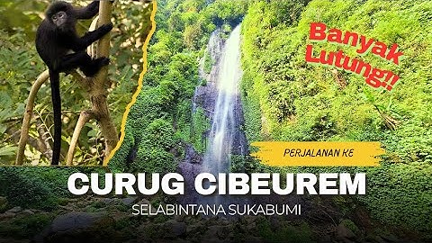 EXPLORE CURUG CIBEUREUM SUKABUMI VIA CAKRAWALA || Vlog perjalanan ke Curug Cibeureum ada lutung!!