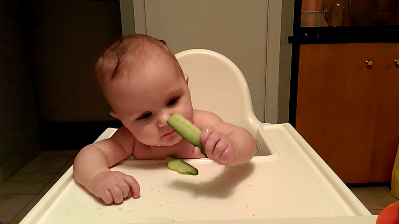 BLW Rodge Tries Cucumber for the First Time Pt 2 YouTube