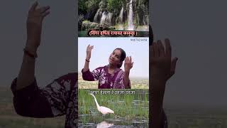 #harshitaramavat #music #live #wedding #song #bhajan #love #devotionalsong #anitajangid