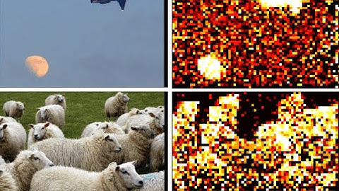 Revisiting Token Pruning for Object Detection and Instance Segmentation (WACV 2024)