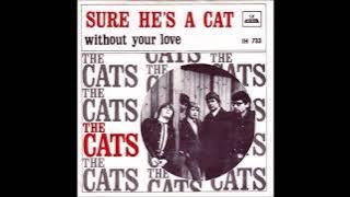 The Cats - Sure He's A Cat 1967