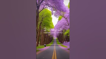 سورة الكهف- الآيات: 23-24-25-26