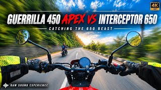 Guerrilla 450 Apex vs Interceptor 650 | Royal Enfield | Raw sound Experience [4k]