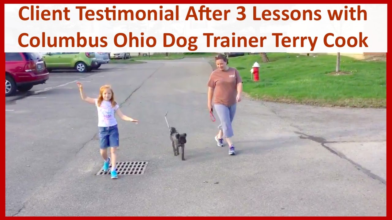 Columbus Ohio Dog Training Client Testimonial After 3 Lessons with