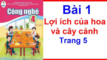 Công Nghệ Lớp 4 Bài 1 | Lợi Ích Của Hoa Và Cây Cảnh | Trang 5 - 7 | Cánh Diều