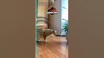 Welcome To JURASSIC PARK 