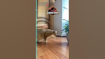 Thumbnail of Welcome to JURASSIC PARK
