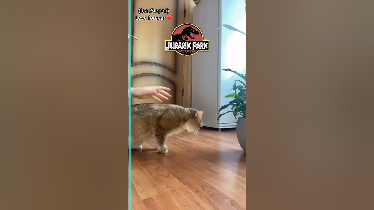 Welcome to JURASSIC PARK